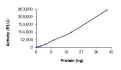 Sino Biological&nbsp;Recombinant Human EGFR Protein (T790M, C797S, L858R, GST Tag), Active
